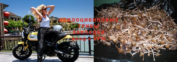 mdpv Богородицк