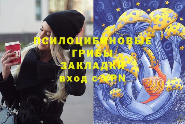 mdpv Богородицк