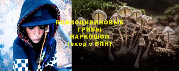 PSILOCYBIN Вязьма