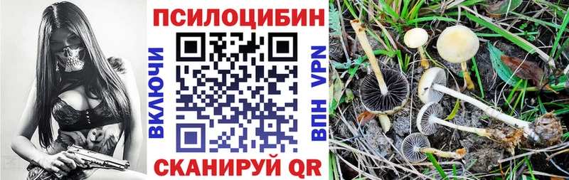 где продают   Бронницы  Галлюциногенные грибы MAGIC MUSHROOMS 
